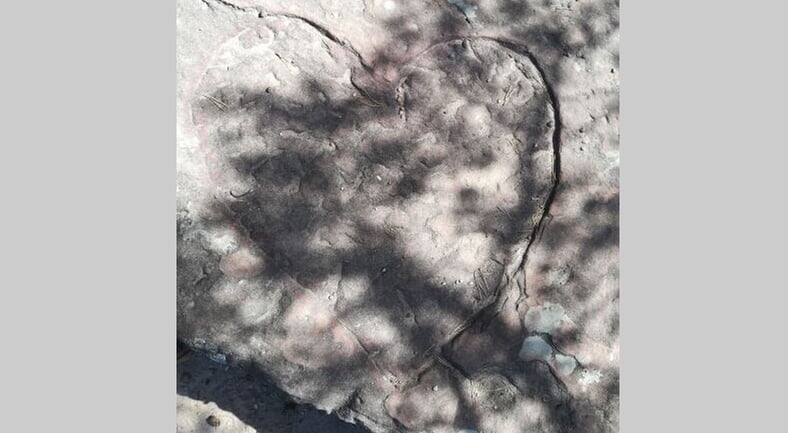 Trauerandacht am 08.05. 2026