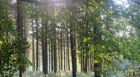 Herzliche Einladung zu einer Wanderung f&uuml;r Trauernde