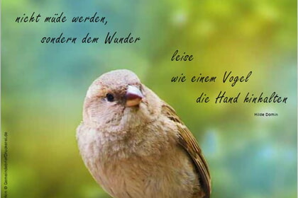 Gemeindegruß Juni 2023
